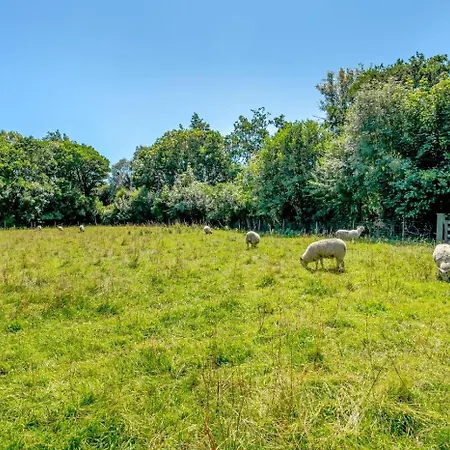 Tatil Evi 5 Bed In Oc-ii16235 Oughterard